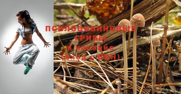 гашишное масло Гусь-Хрустальный
